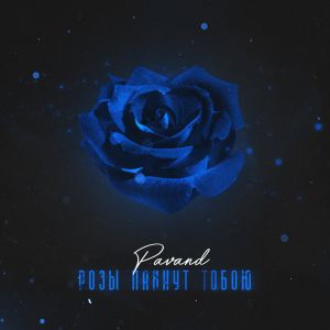 PAVAND - Розы пахнут тобою