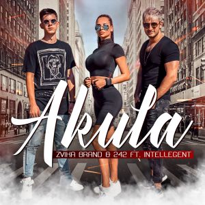 Zvika Brand, 242 feat. Intellegent - Akula