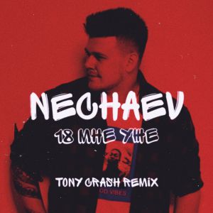 Nechaev - 18 мне уже (Tony Crash Remix)