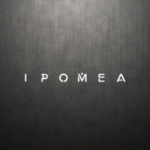 IPOMEA - Okay