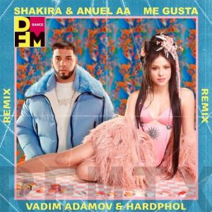Shakira, Anuel AA - Me Gusta (Vadim Adamov & Hardphol Remix)