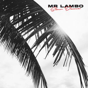 Mr Lambo - Slow Dance