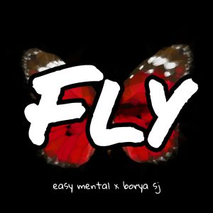 Easy Mental - Fly
