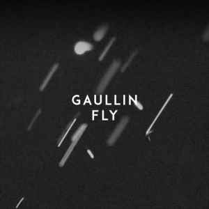GAULLIN - Fly