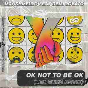 Marshmello feat. Demi Lovato - OK Not To Be OK (Leo Burn Radio Edit)