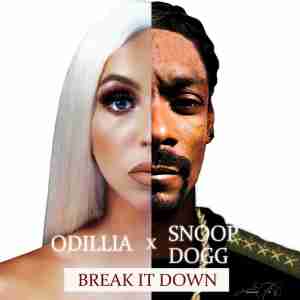Snoop Dogg & ODILLIA - Break It Down