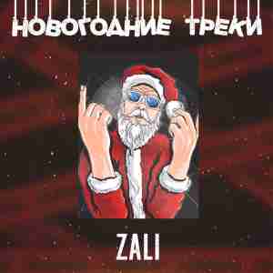 MC Zali feat. DJ HaLF - Новогодняя