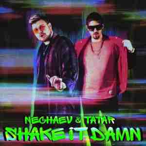 NECHAEV & Tatar - Shake It Damn