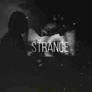 Strange - Лябу люблю (Vrayd Remix)