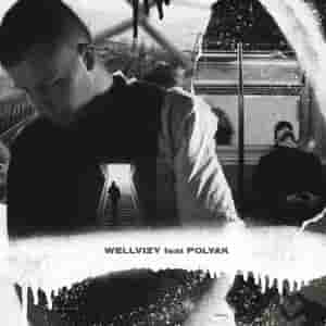 WELLVIZY feat. POLYAK - Сотру